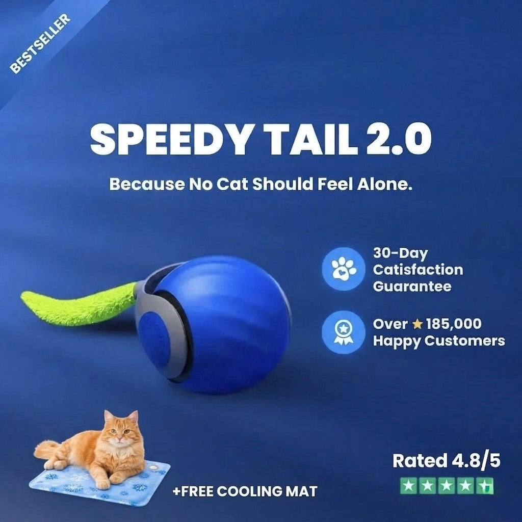 Interactive Cat Toy - Speedy Tail 2.0