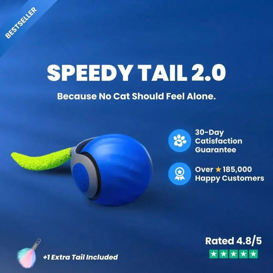 Interactive Cat Toy - Speedy Tail 2.0