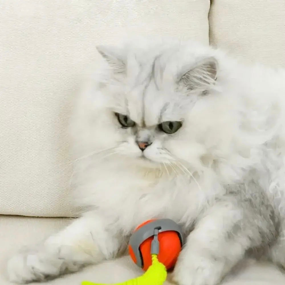 Interactive Cat Toy - Speedy Tail 2.0