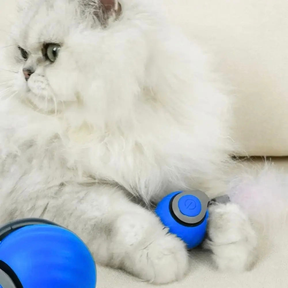 Interactive Cat Toy - Speedy Tail 2.0