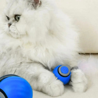 Interactive Cat Toy - Speedy Tail 2.0