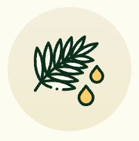 100% Pure Batana Oil